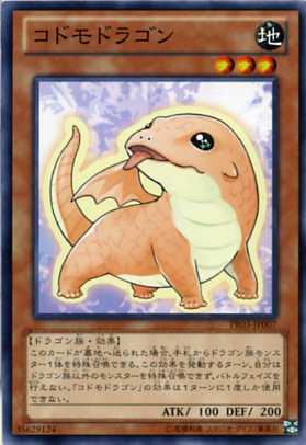 楽天市場】コドモドラゴン ハヤトの通販