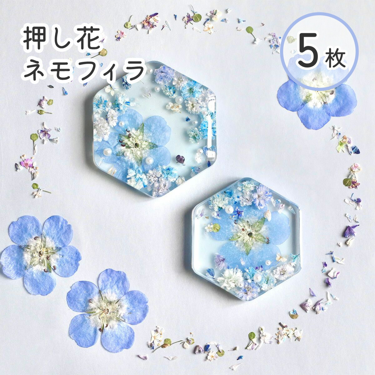 楽天市場】ドライフラワー 花材 押し花 国産 ネモフィラ ドライ