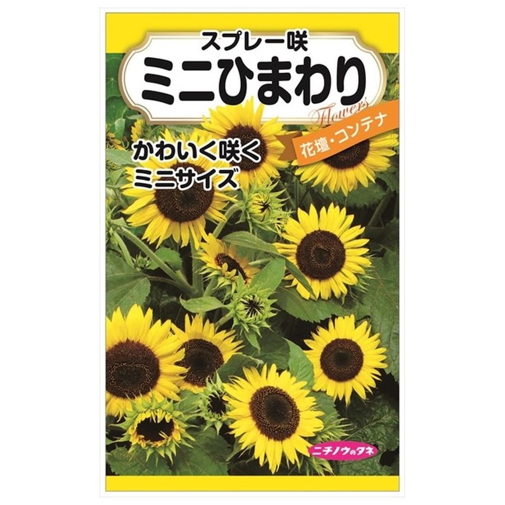 楽天市場】【スプレー咲ミニひまわり】 種・小袋 （1.2ml） F1（一代