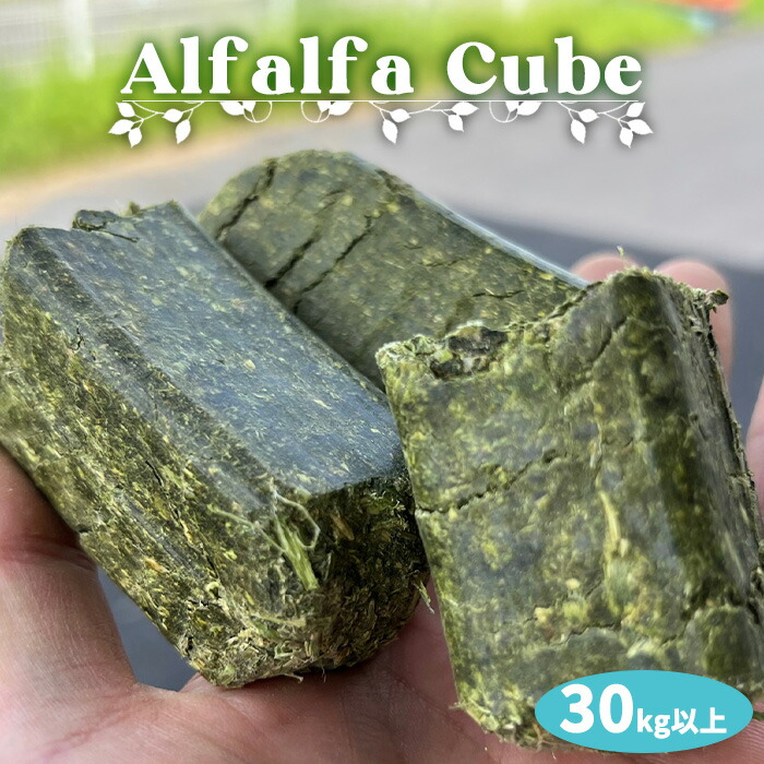 楽天市場】アルファルファキューブ／ヘイキューブ 30kg以上（15kg x 2