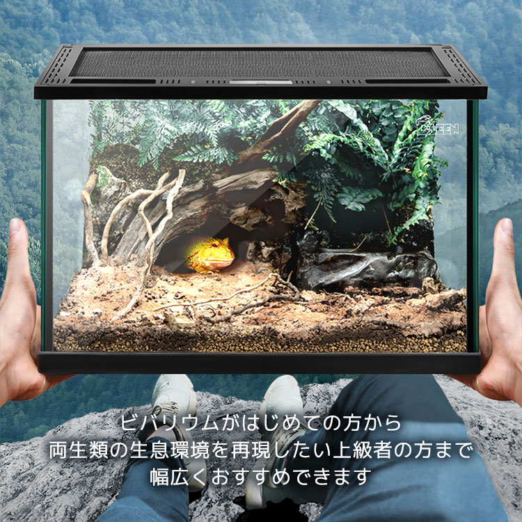 楽天市場】テラリウム 爬虫類 飼育 ケージ 両生類 カメ カニ グラス