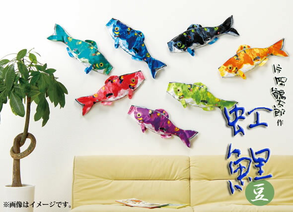 楽天市場】こいのぼり 鯉のぼり 片岡鶴太郎 虹鯉 太郎鯉 豆鯉 単品