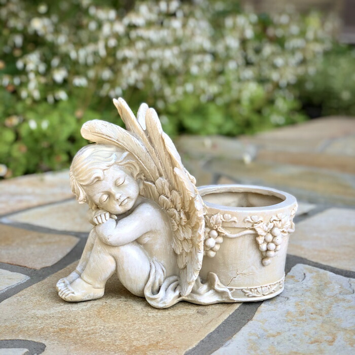 楽天市場】【野川農園】ドリーミーエンジェルポット（p-7754）H=20cm