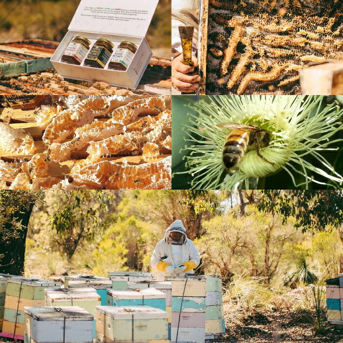 楽天市場】生蜂蜜 天然 無添加 はちみつ ジャラ ハニー TA 50+