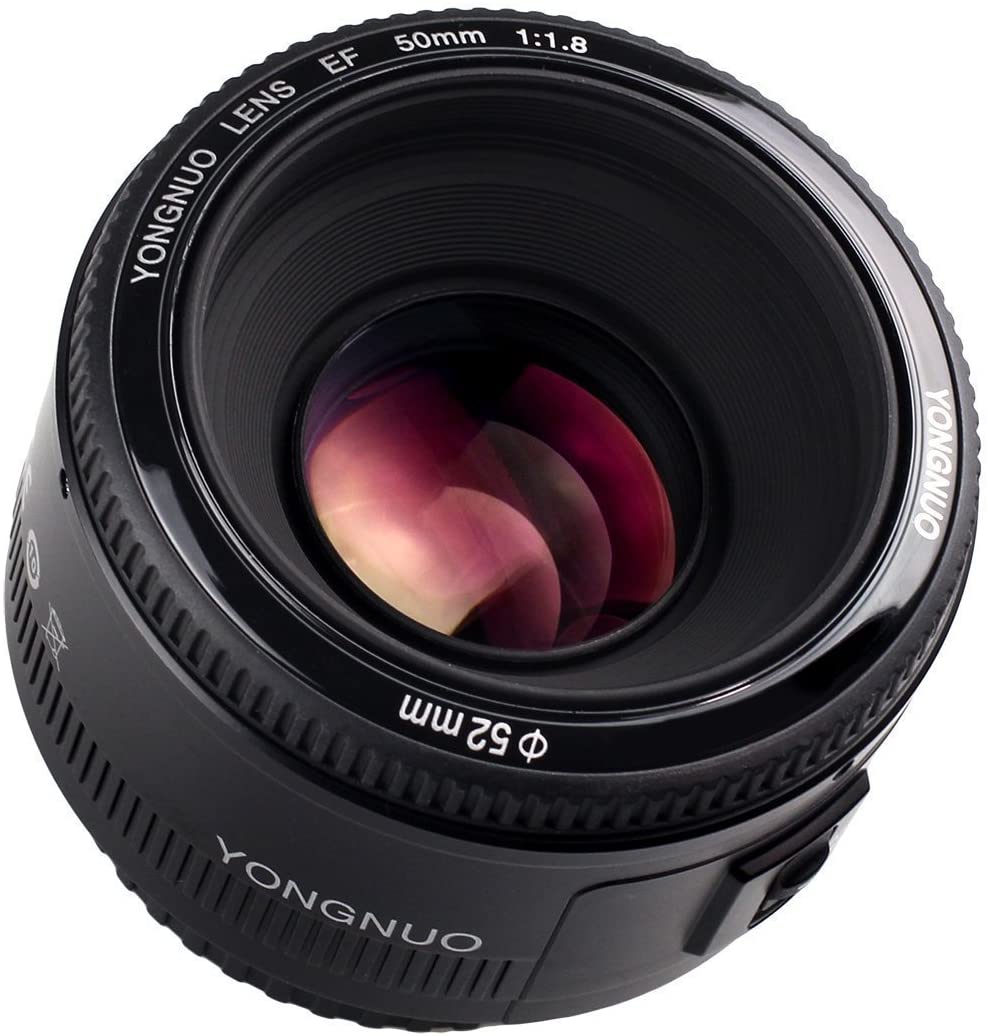 楽天市場】【正規品 純正品 3ヶ月保証!!】YONGNUO製 AF YN 50mm f1.8