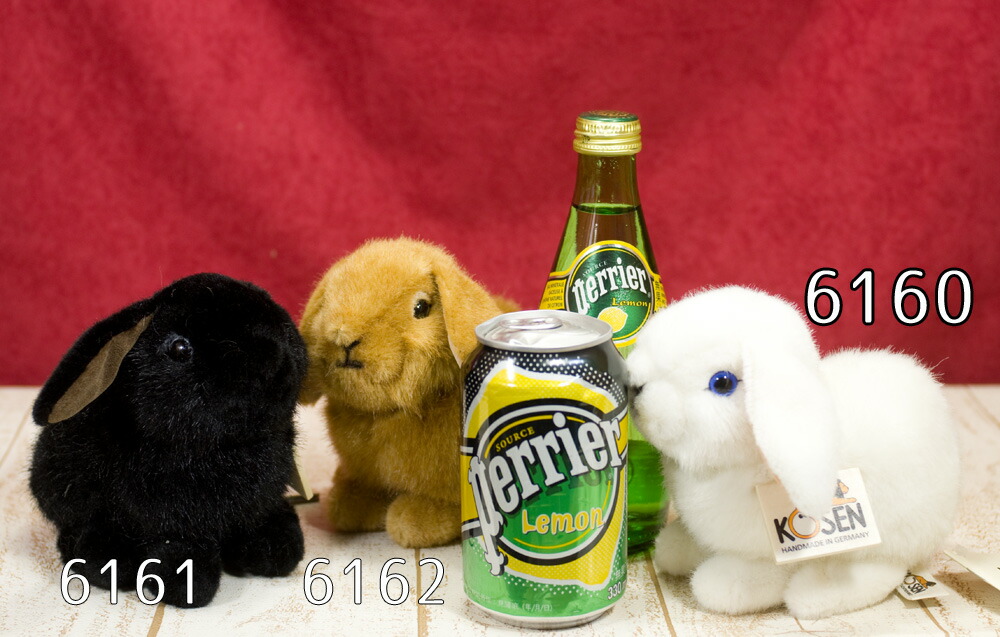 楽天市場】ケーセン ぬいぐるみ kosen ドワーフロップの子 白 うさぎ