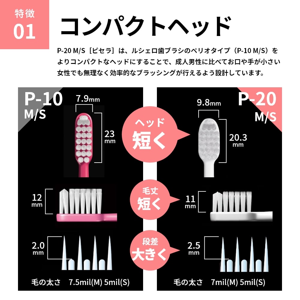 楽天市場】【送料無料】ジーシー GC ルシェロ ruscello 歯ブラシ