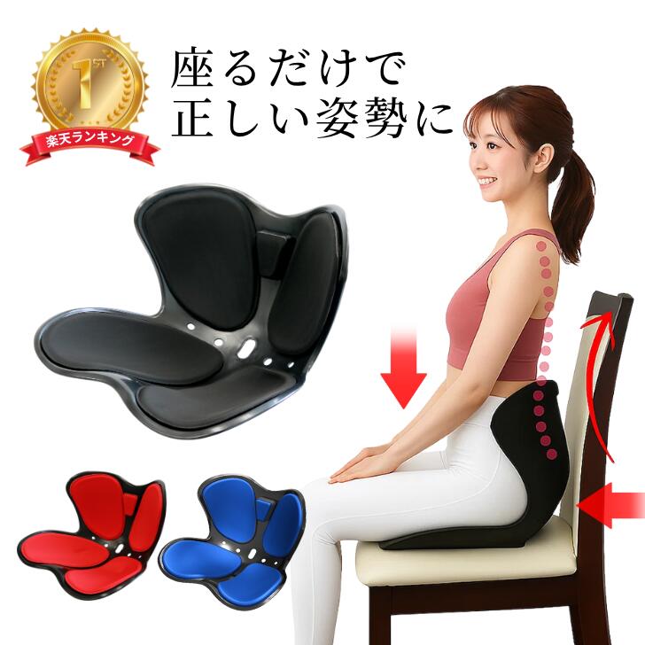 楽天市場】骨盤 クッション styleの通販