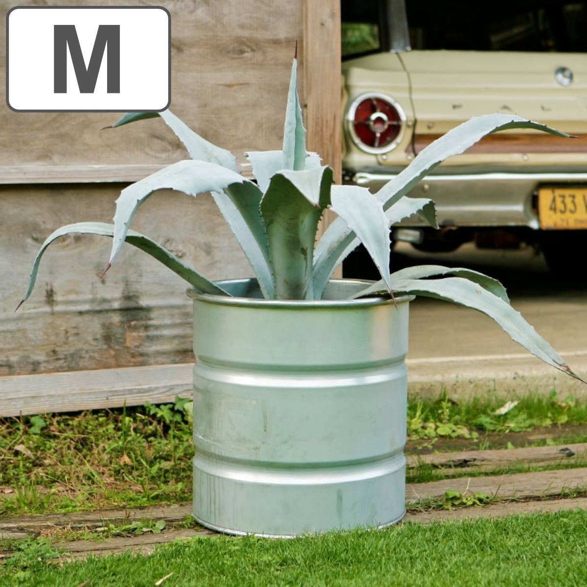 楽天市場】アンティーク ドラム缶（ガーデニング・農業｜花・ガーデン