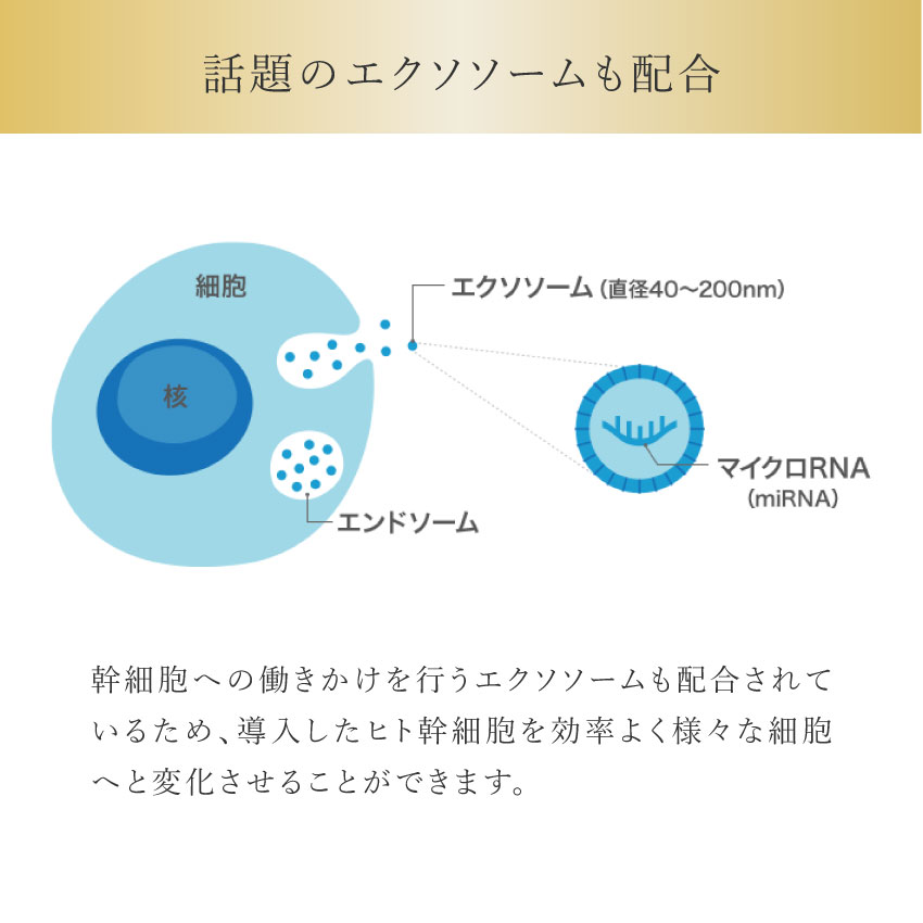 楽天市場】エクソソーム配合 ヒト幹細胞配合【ヒトユライ HITOYURAI