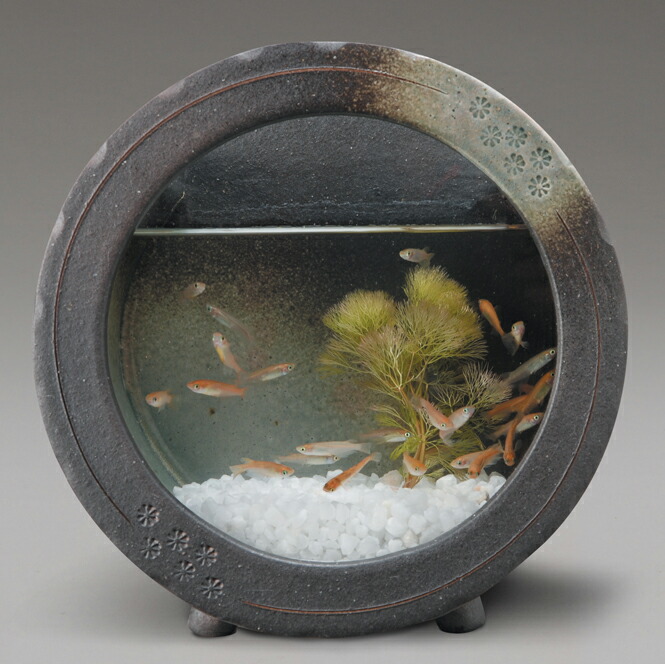 楽天市場】【10%OFF】黒釉丸水槽信楽焼 金魚鉢 黒釉丸水槽水槽 陶器