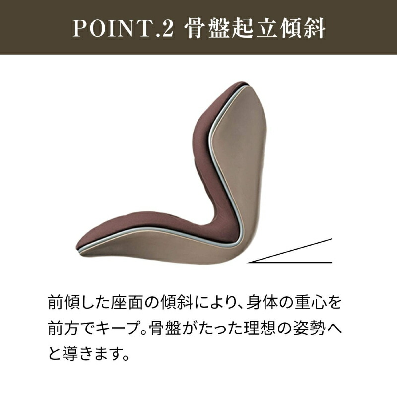 楽天市場】姿勢ケアシート スタイル プレミアム MTG Style PREMIUM