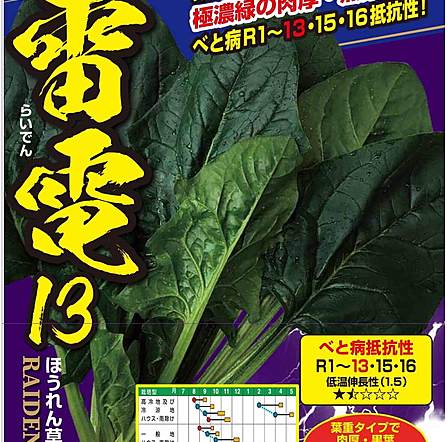 楽天市場】雷電13 PRM3万粒 ほうれん草 法蓮草 ホウレンソウ