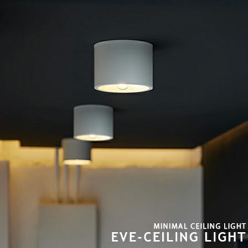楽天市場】Eve ceiling light イブシーリングライト ダウンライト