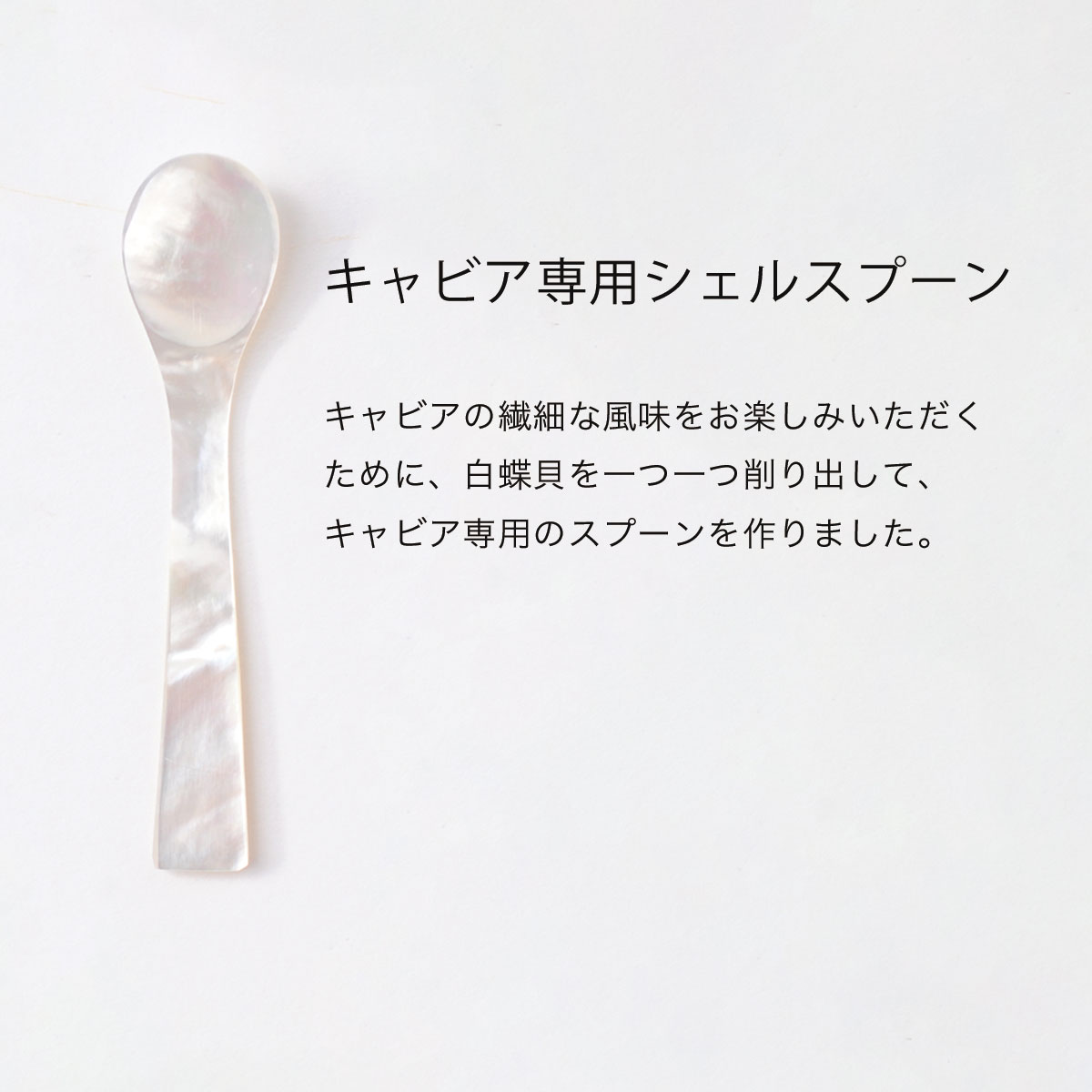 楽天市場】キャビア専用シェルスプーン（白蝶貝スプーン） | キャビア