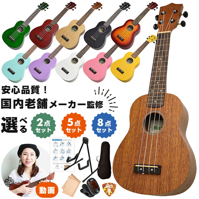 楽天市場】ギターケース アコースティック (ABS ハードケース ドレッド