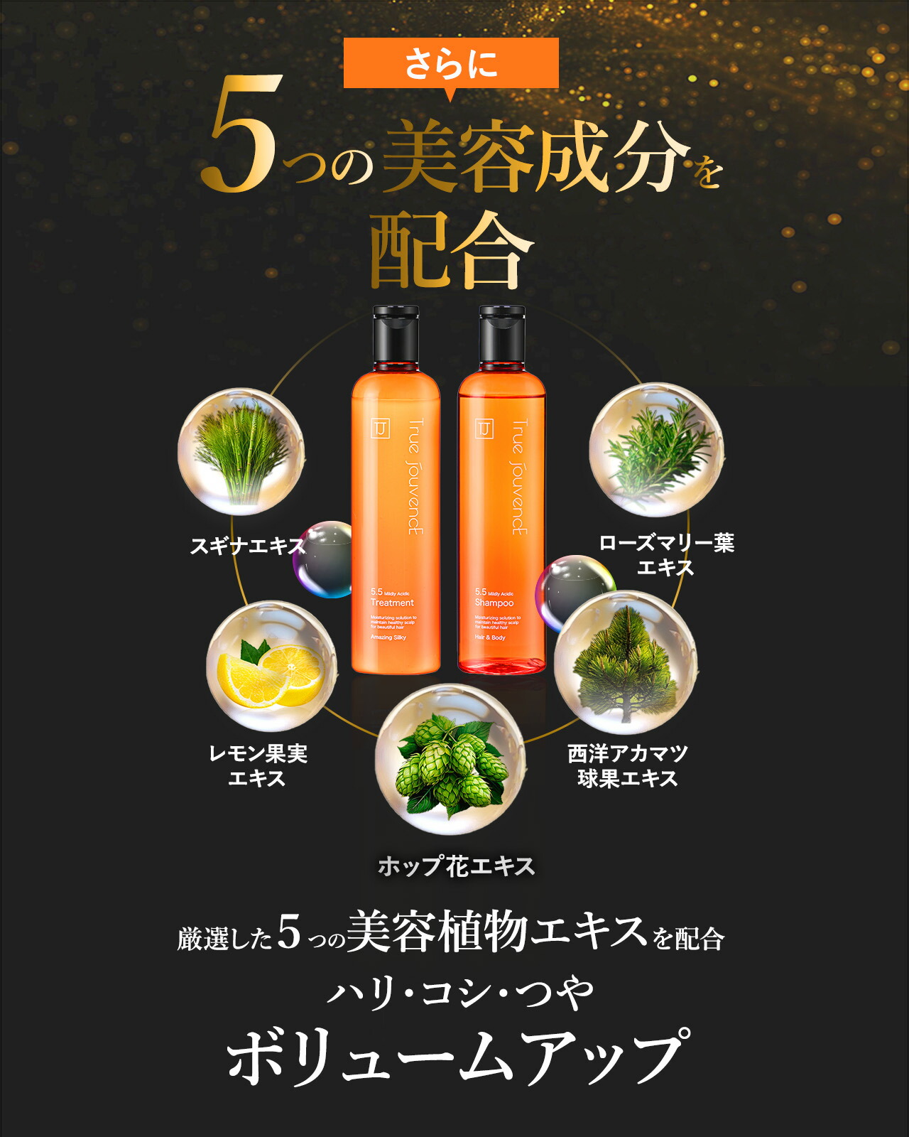 楽天市場】【サロン専売】弱酸性 シャンプー トリートメント セット