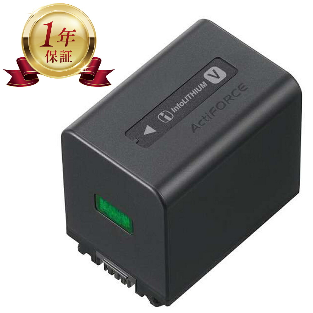 楽天市場】ハンディカム バッテリー hdr-cx590の通販