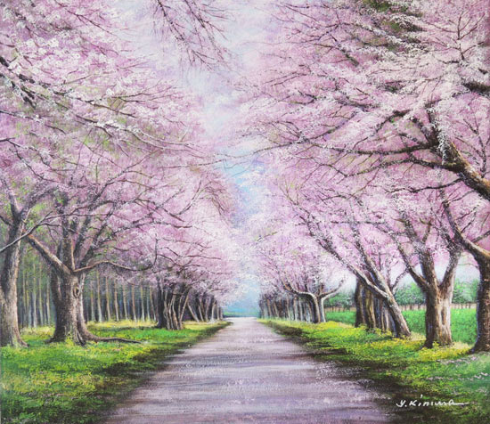 楽天市場】絵画 油絵 二十間道路桜並木 F20号 （木村由記夫） 送料無料