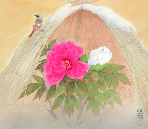 楽天市場】掛け軸 寒牡丹 (梅津道雄) 送料無料 【掛軸】【一間床】【丈