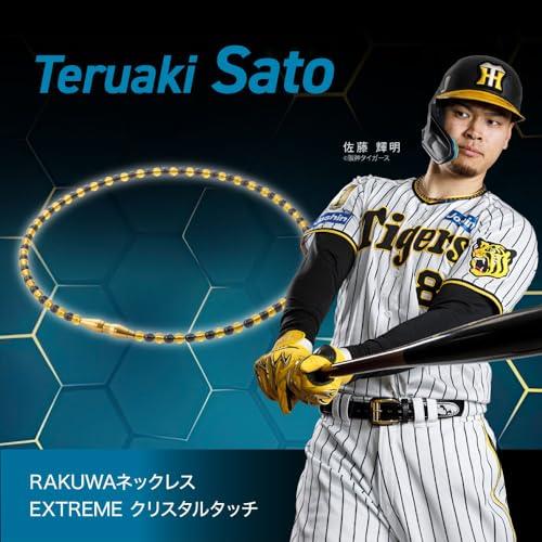 楽天市場】【柳田悠岐選手愛用商品】phiten(ファイテン) ネックレス