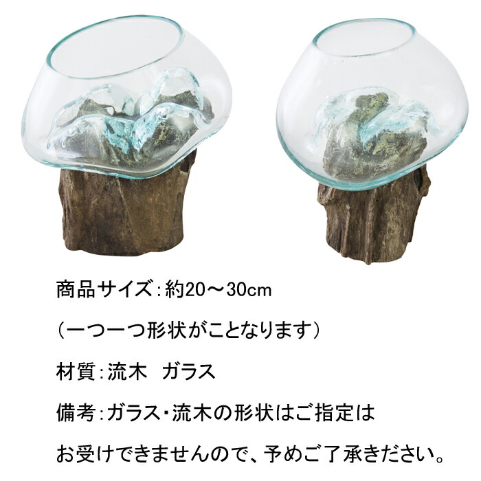 楽天市場】グラスオブジェ 置物 オブジェ エアプランツ 天然木 ガラス