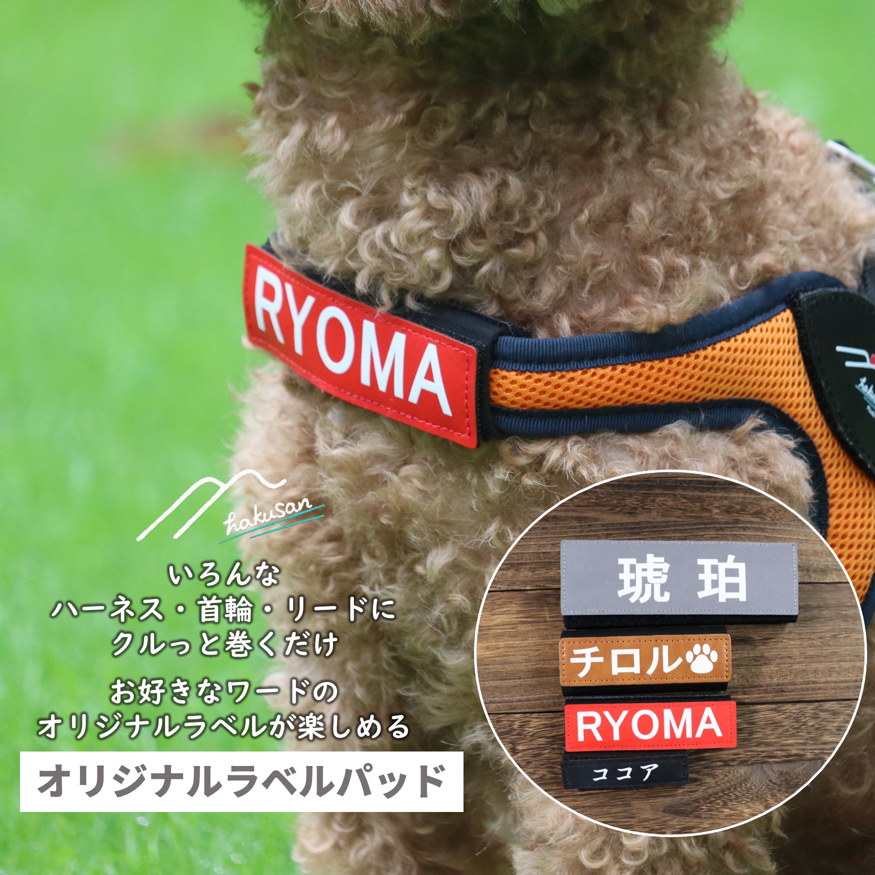 楽天市場】犬 ハーネス ネームの通販