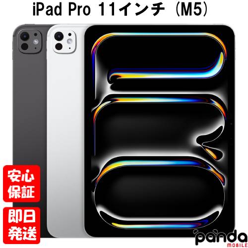 楽天市場】ipad pro 11インチ 256gbの通販