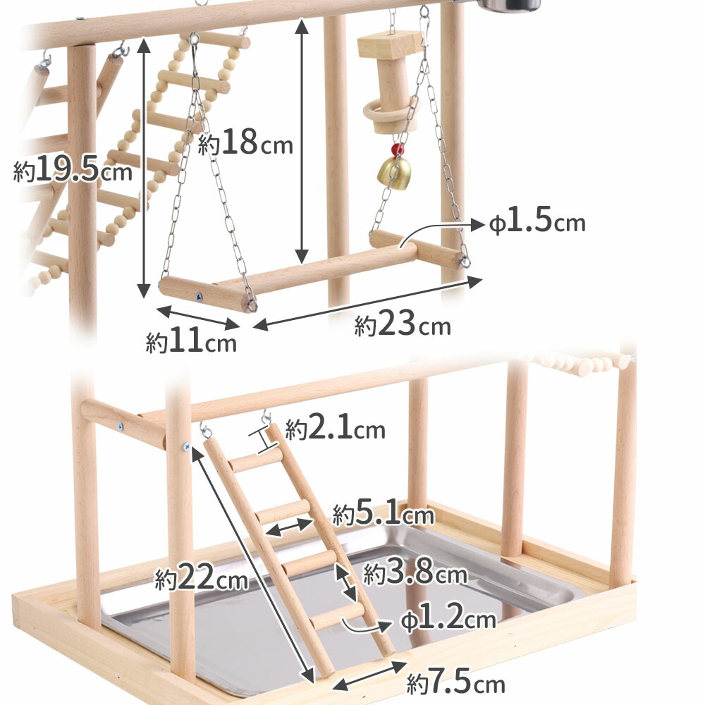 楽天市場】【半額&5%OFFクーポン配布3/1 利用条件あり】 インコ
