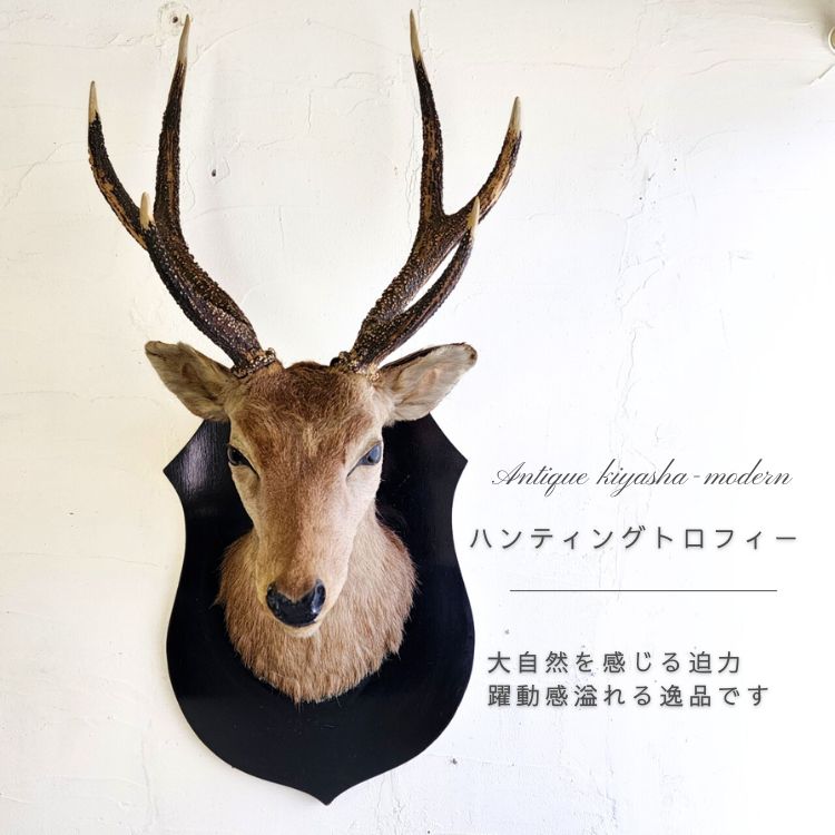 ブロカント アンティーク ハンティングトロフィー 鹿角 オブジェ
