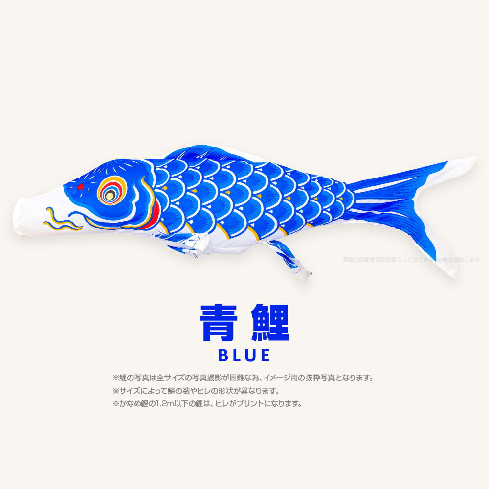 楽天市場】こいのぼり 単品 鯉のぼり かなめ鯉 1.5m 単品鯉 : 節句