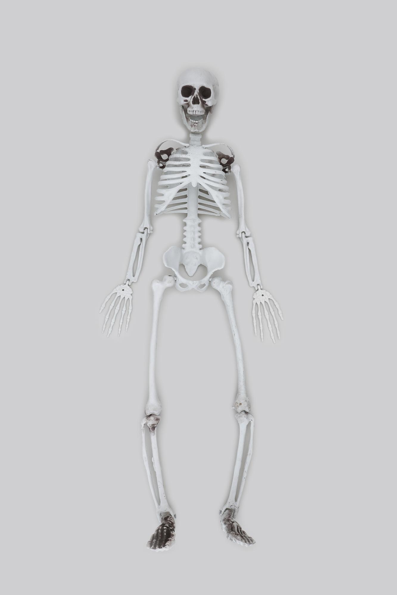 楽天市場】等身大骸骨 90cm（725798 ）ガイコツ ハロウィン