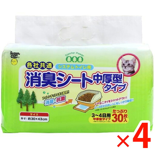 楽天市場】【在庫あり翌営業日発送OK F-1】【お一人様1点まで】SpaceX