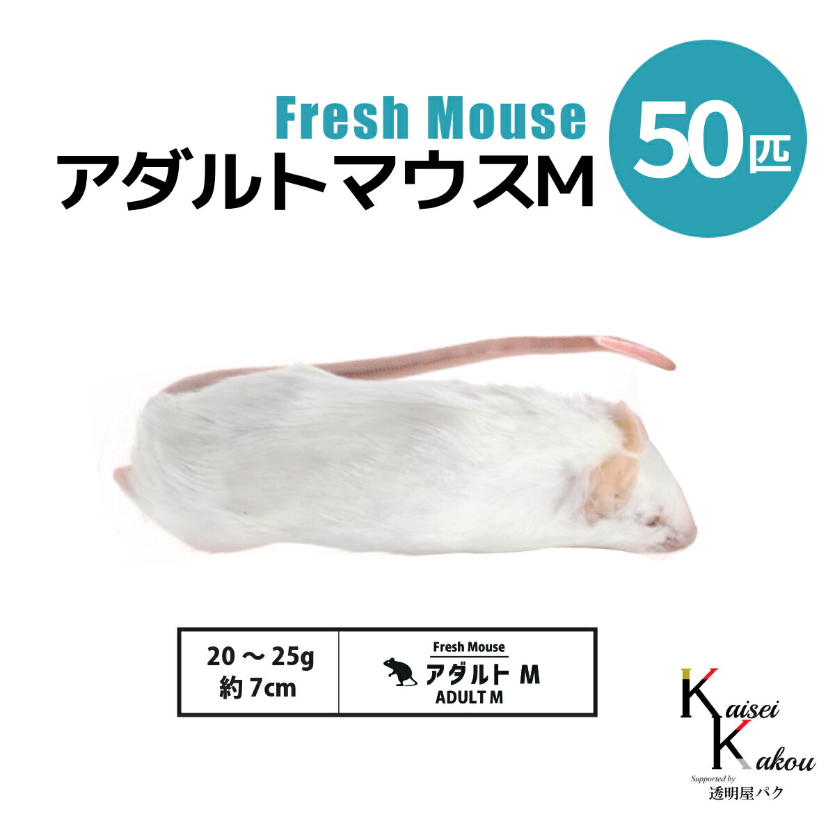 冷凍マウス」の人気商品一覧 | 安い商品を通販サイトから探す - 価格.com