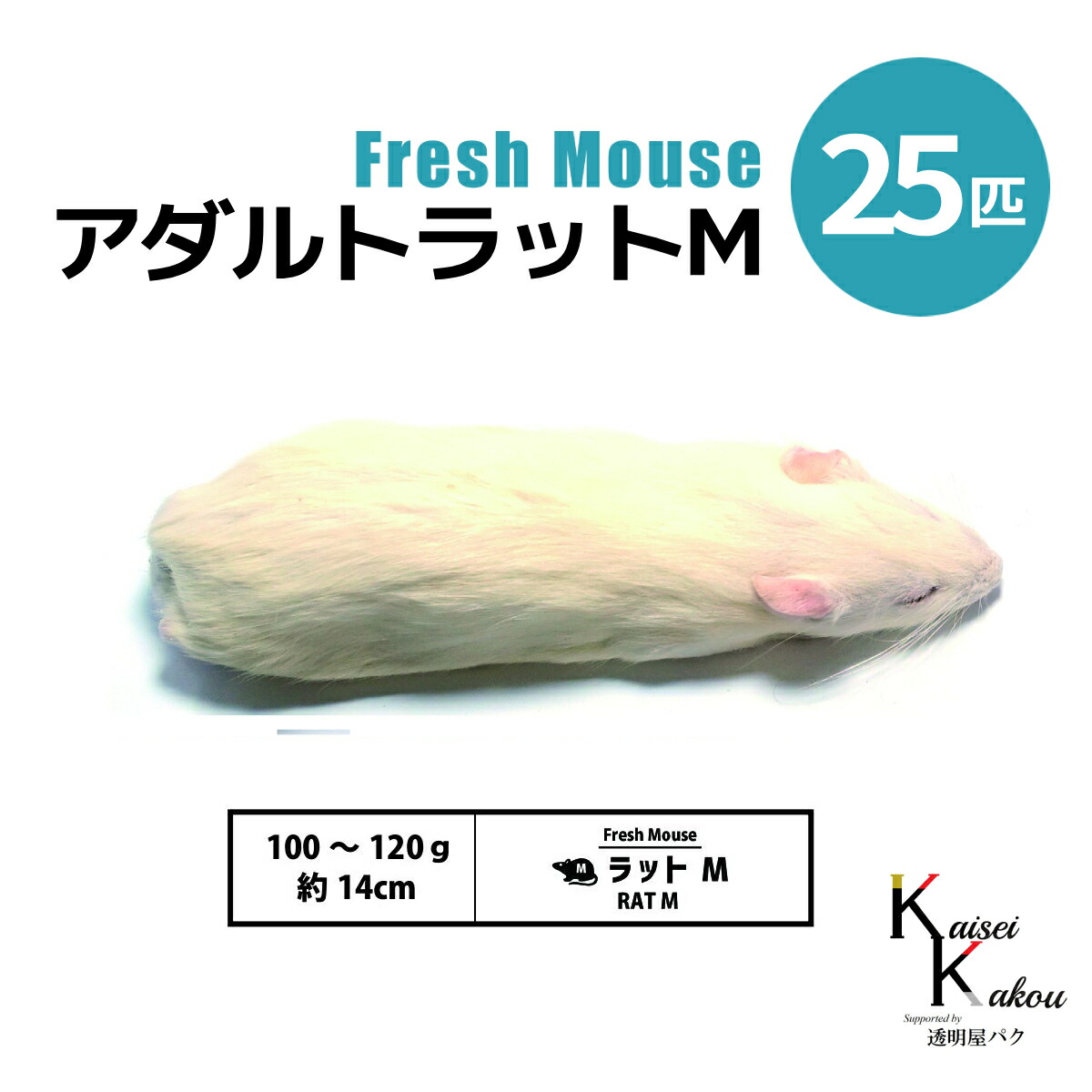 冷凍マウス」の人気商品一覧 | 安い商品を通販サイトから探す - 価格.com