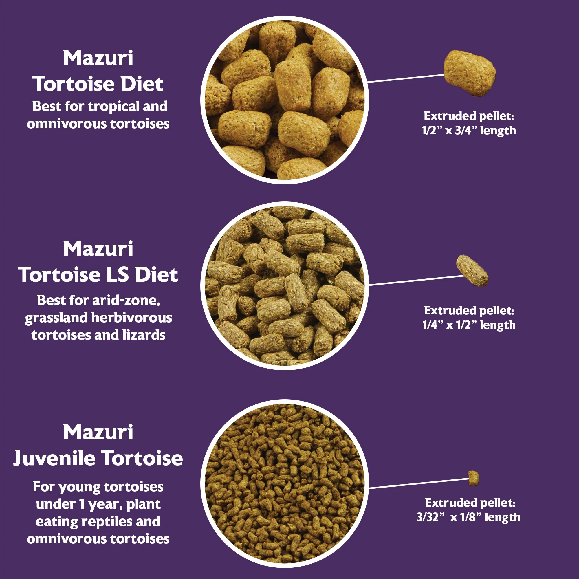 楽天市場】○【マズリ】トータス ダイエット 560g 5M21 Mazuri【爬虫類