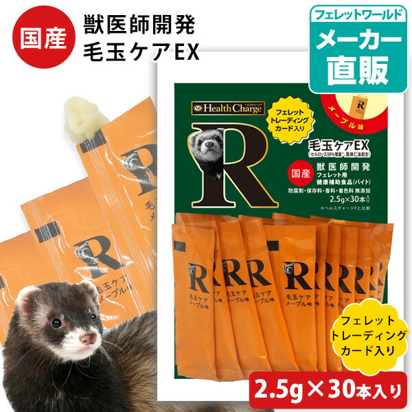 フェレットバイト」の人気商品一覧 | 安い商品を通販サイトから探す