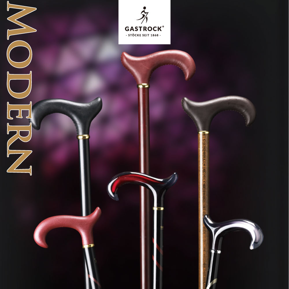 楽天市場】ステッキ 【 20％OFF 】 杖 送料無料 ケイ・ホスピア ガスト