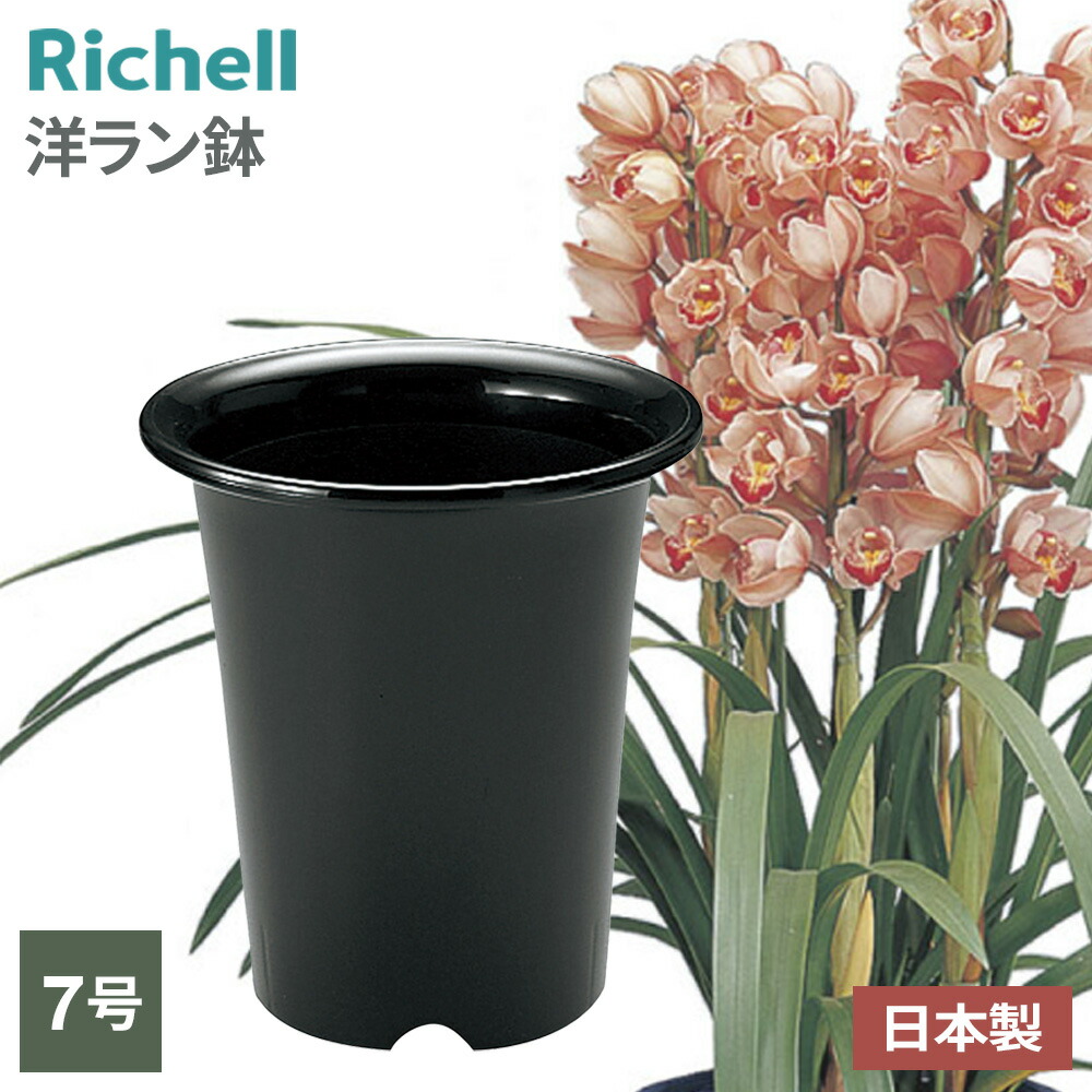 楽天市場】リッチェル 洋ラン鉢 7号 ブラック 072873 ｜ 植木鉢