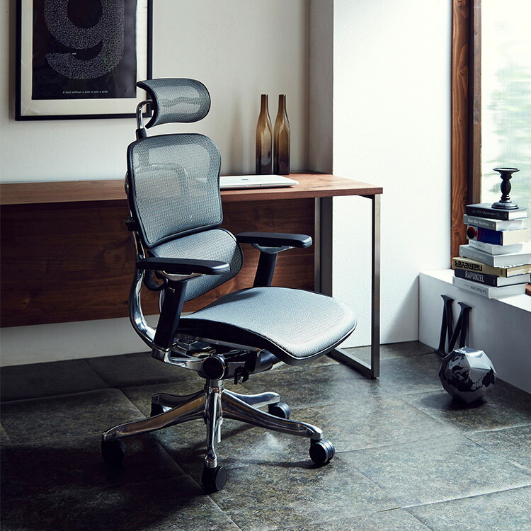 楽天市場】オフィスチェア メッシュ エルゴヒューマン プロハイバック