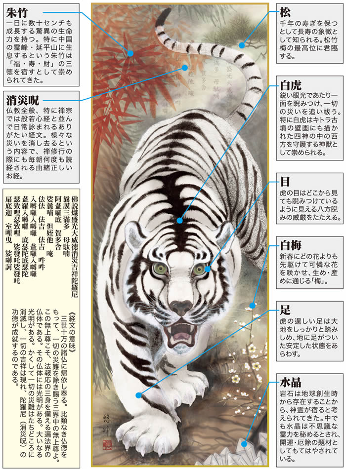 楽天市場】掛け軸【縁起画：消災白虎朱竹之図/3MD5-019】丈164cm×幅