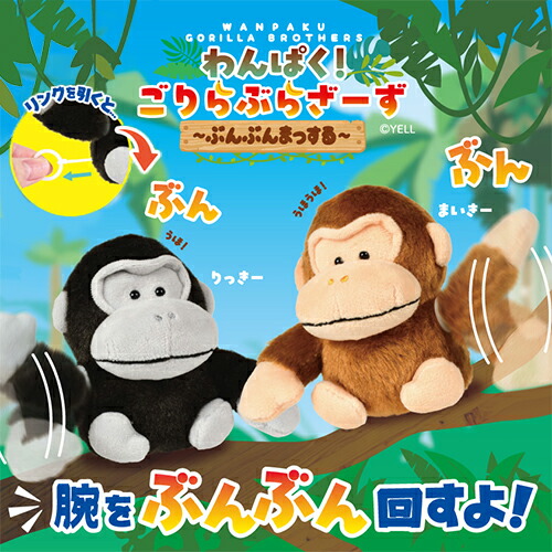 楽天市場】特価YL【わんぱく！ ごりら ぶらざーず ぶんぶんまっする