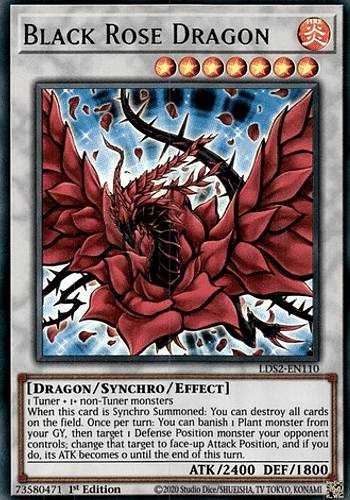 石*龍様 ブラック・ローズ・ドラゴン 石*龍様 ブラック・ローズ