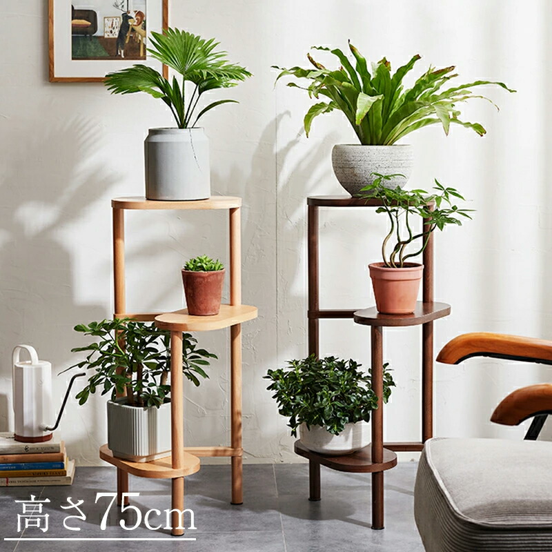 楽天市場】【10％クーポン】【即日発送】rico collection 天然木