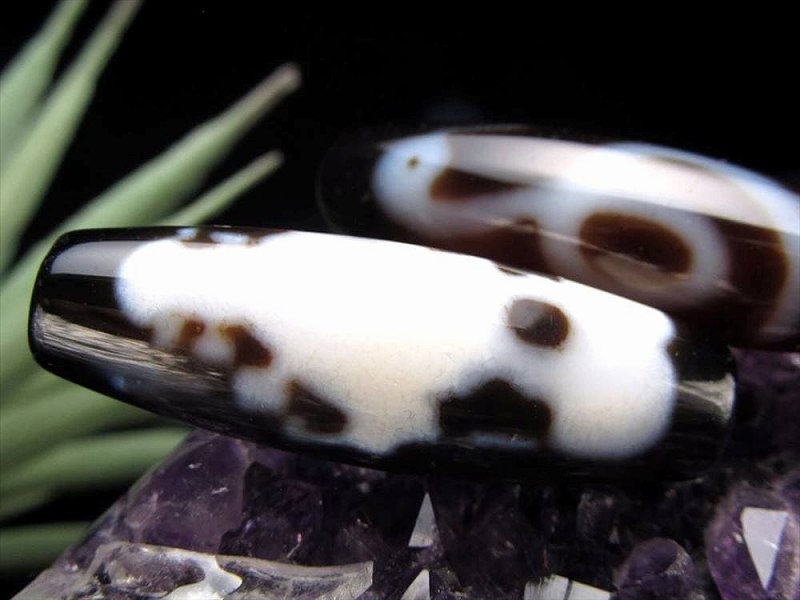 楽天市場】A至純天珠【三面大黒天・白蛇天珠(さんめんだいこくてん