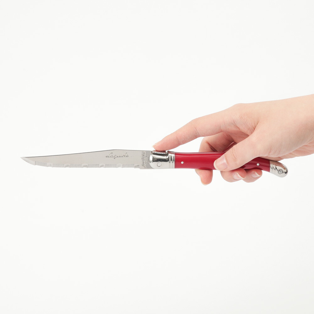 楽天市場】ライヨール ステーキナイフ ジャン デュボ Jean Dubost