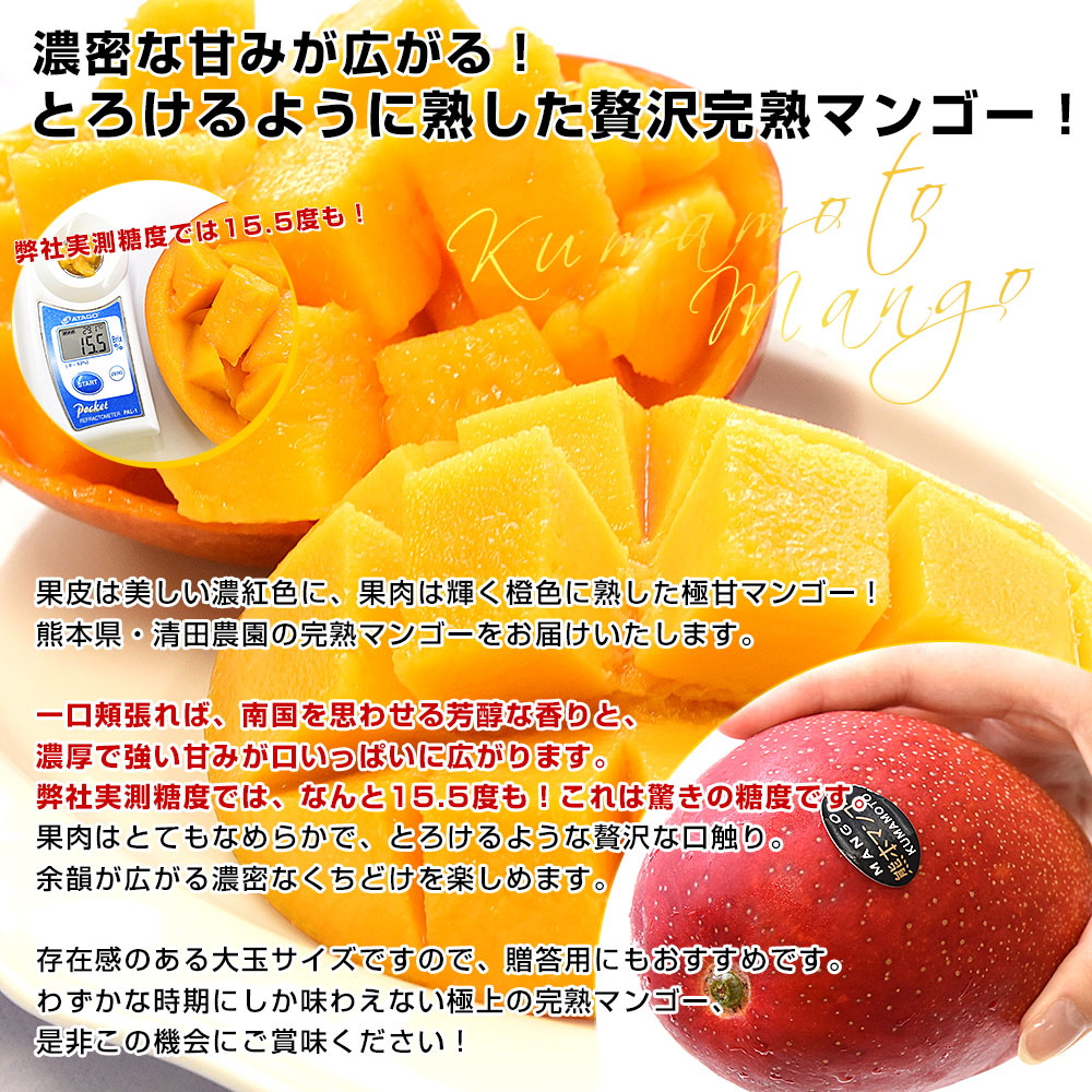 楽天市場】熊本県から産地直送 玉東町 清田農園 完熟マンゴー 秀品