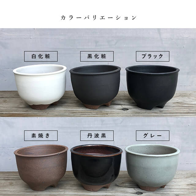 楽天市場】伝市鉢 コウロ型【黒化粧】5号 φ16cm×H11cm 植木鉢 陶器