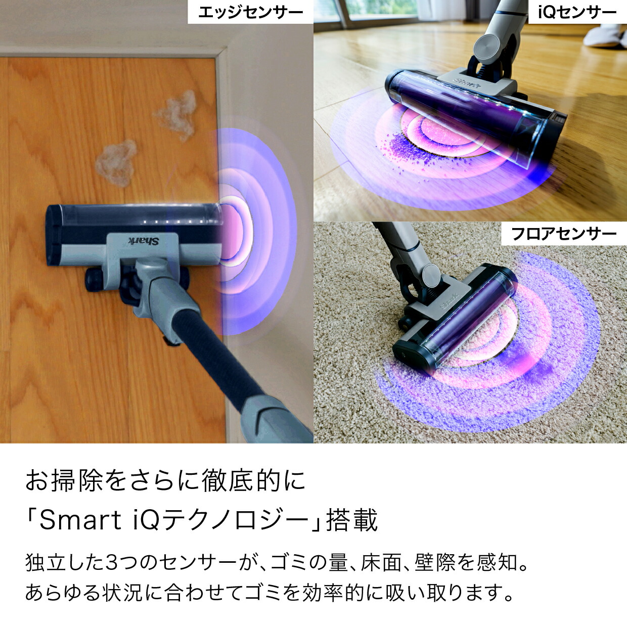 楽天市場】【Shark 公式】 Shark EVOPOWER SYSTEM NEO II+ コードレス