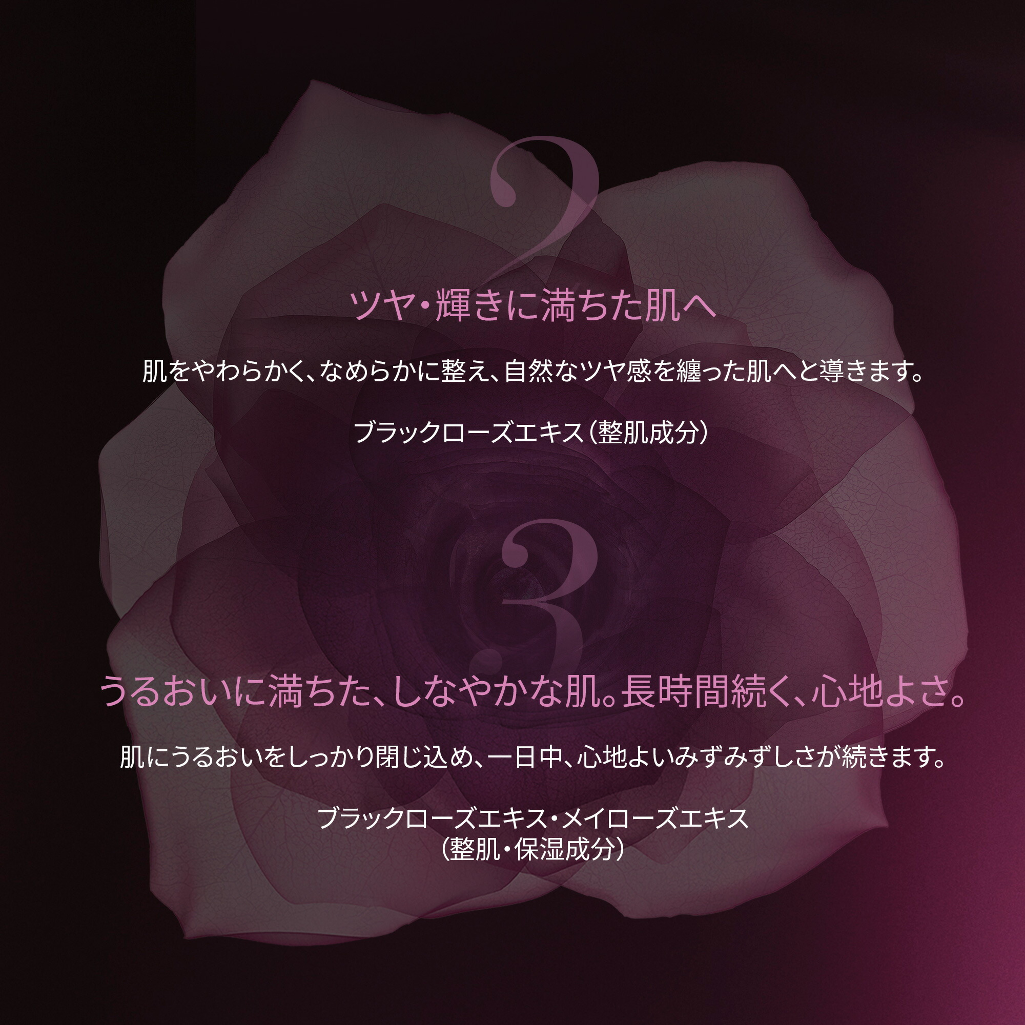 楽天市場】【公式】 シスレー ブラックローズ スキン クリーム 50mL